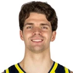 Tarik Biberović