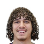 Daniel Greidi
