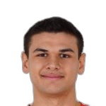Halil Efe Yıldırım