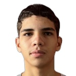 Luiz Henrique dos Santos Andrade