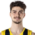 Yigit Hamza Mestoglu