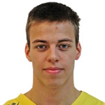 Milutin Vidic
