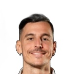 Mirza Alibegovic