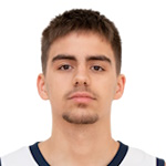 Nikola Šarić