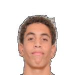 Pedro Antunes