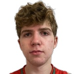 Pedro Henrique de Bem Moraes