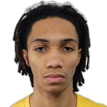 Renan Alves Pereira