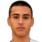 Robert Radev
