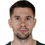 Emir Sulejmanovic