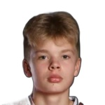 Viljami Valtonen