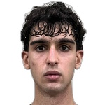 Vitor Theodoro Silva Flores