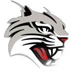 Davidson Wildcats