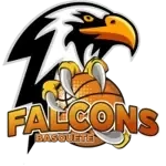 Falcons Basquete