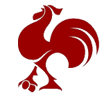 Galitos Basquetebol
