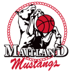 Maitland Mustangs