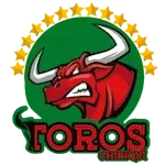 Toros de Chiriquí